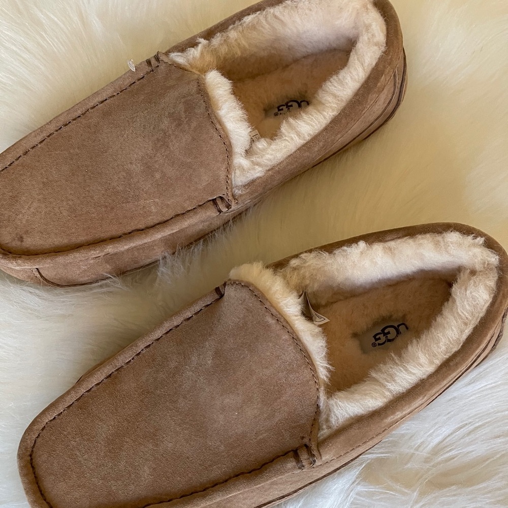UGG Ascot Slipper